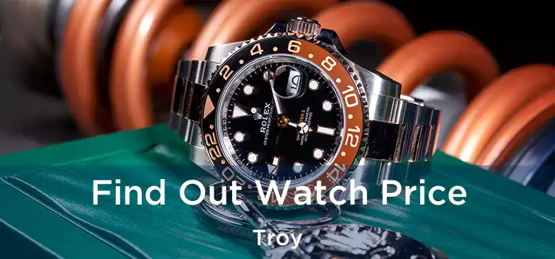  Find Out Watch Price Troy