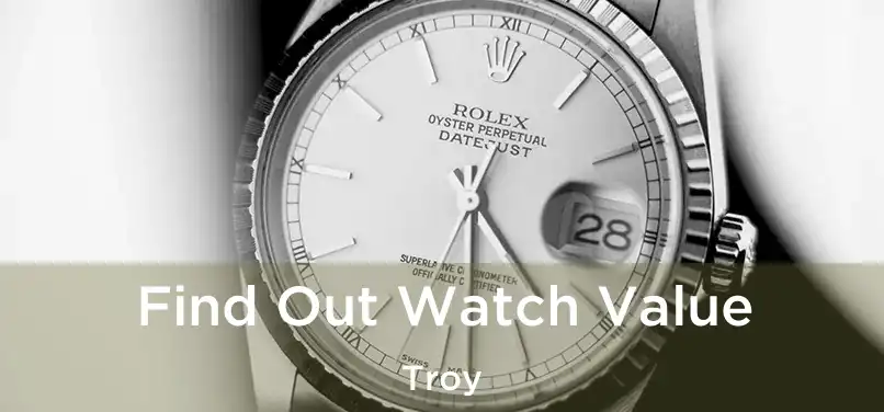  Find Out Watch Value Troy