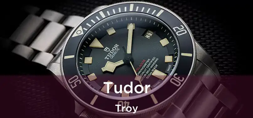  Tudor Troy