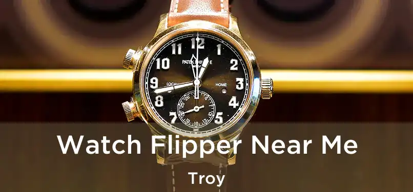  Watch Flipper Near Me Troy